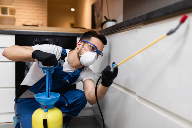 Best Best Pest Control Companies  in Salton City, CA