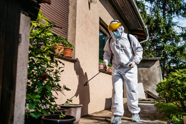 Best Best Pest Control Companies  in Salton City, CA