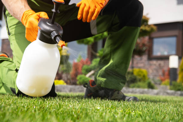 Best Pest Control for Restaurants  in Salton City, CA