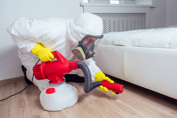 Best Pest Inspection Near Me  in Salton City, CA