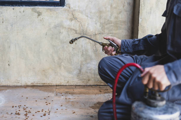 Best Exterminator Services  in Salton City, CA