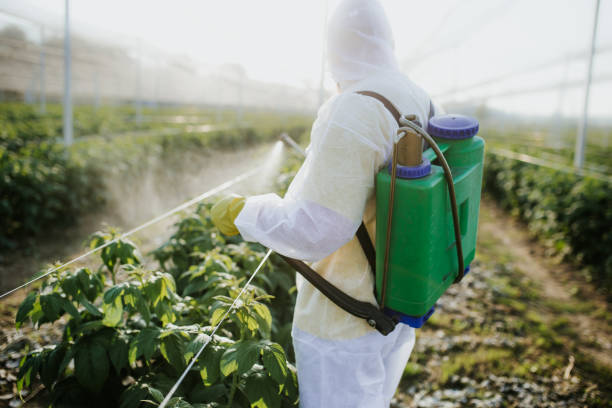 Best Flea Control Services  in Salton City, CA